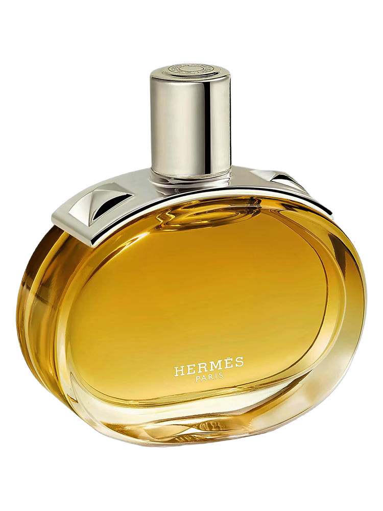Hermes Barenia Intense
