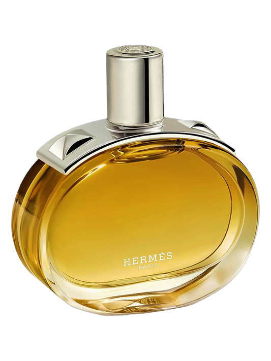 Hermes Barenia Intense