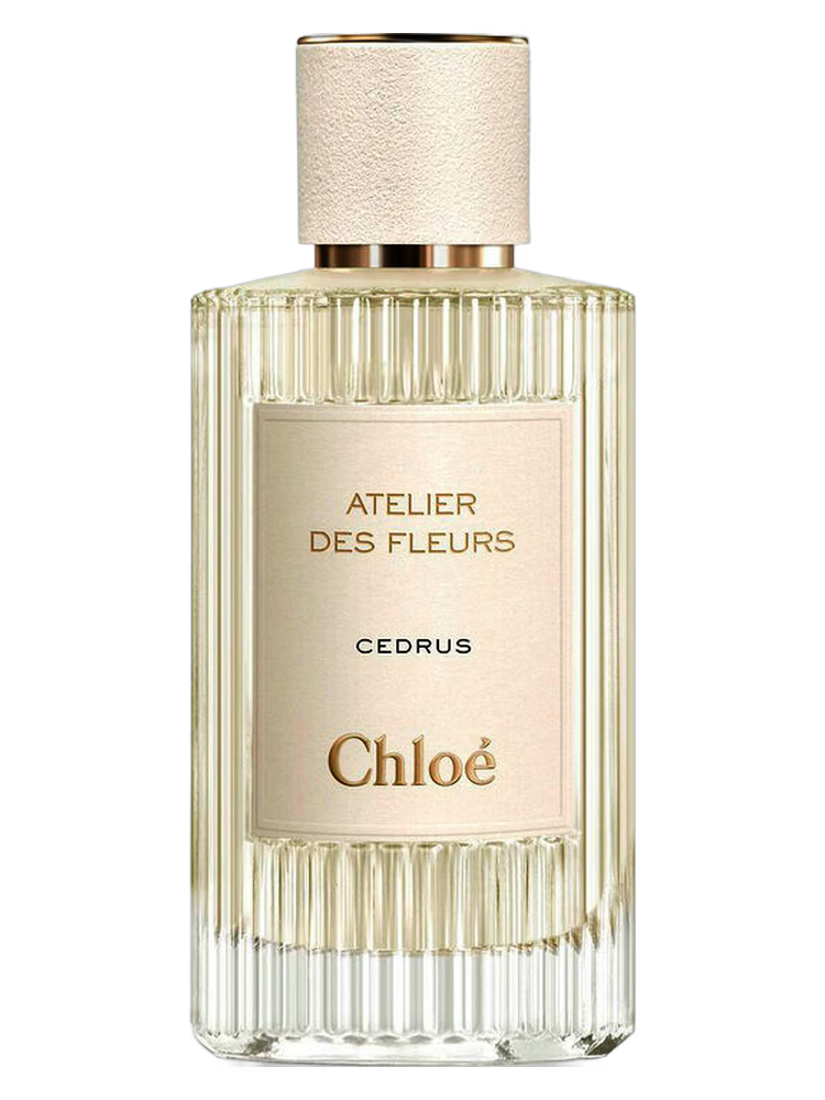 Chloe Cedrus