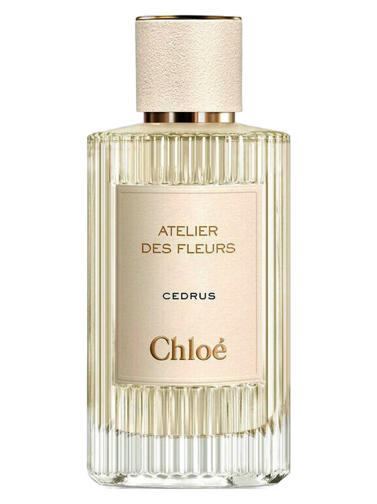 Chloe Cedrus